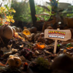 composting for beginners - Canberra and Queanbeyan -