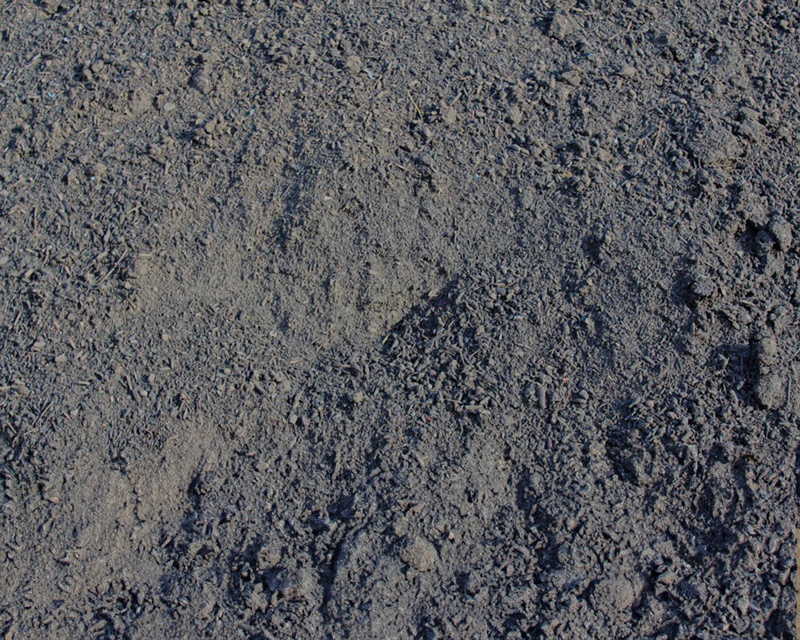 mushroom compost - canberra and queanbeyan